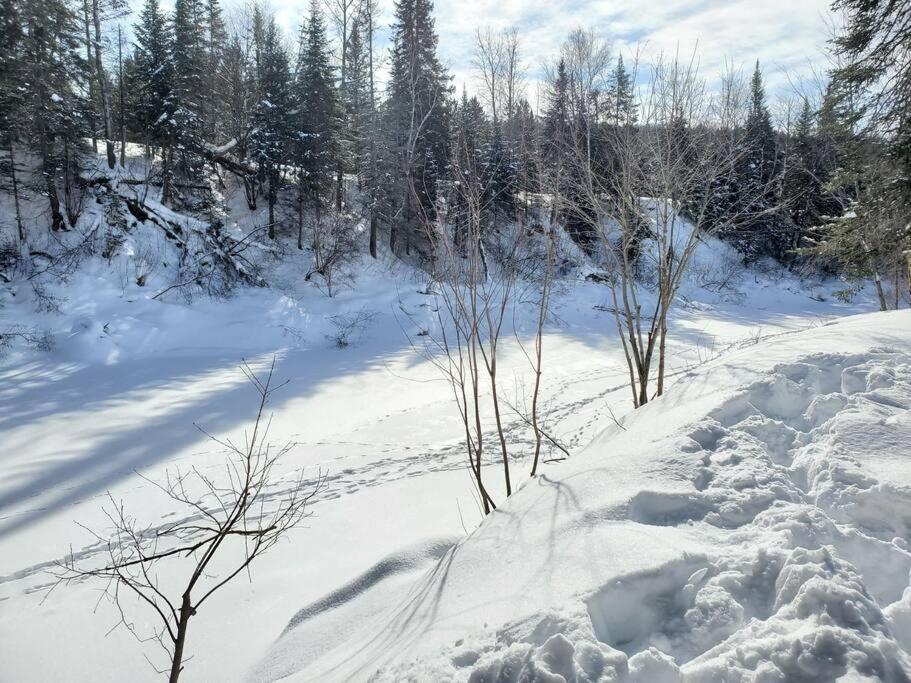 Chalet Riviere - Bord De Riviere - Romantique เซนต์ อเล็กซิส เด มองส์ ภายนอก รูปภาพ